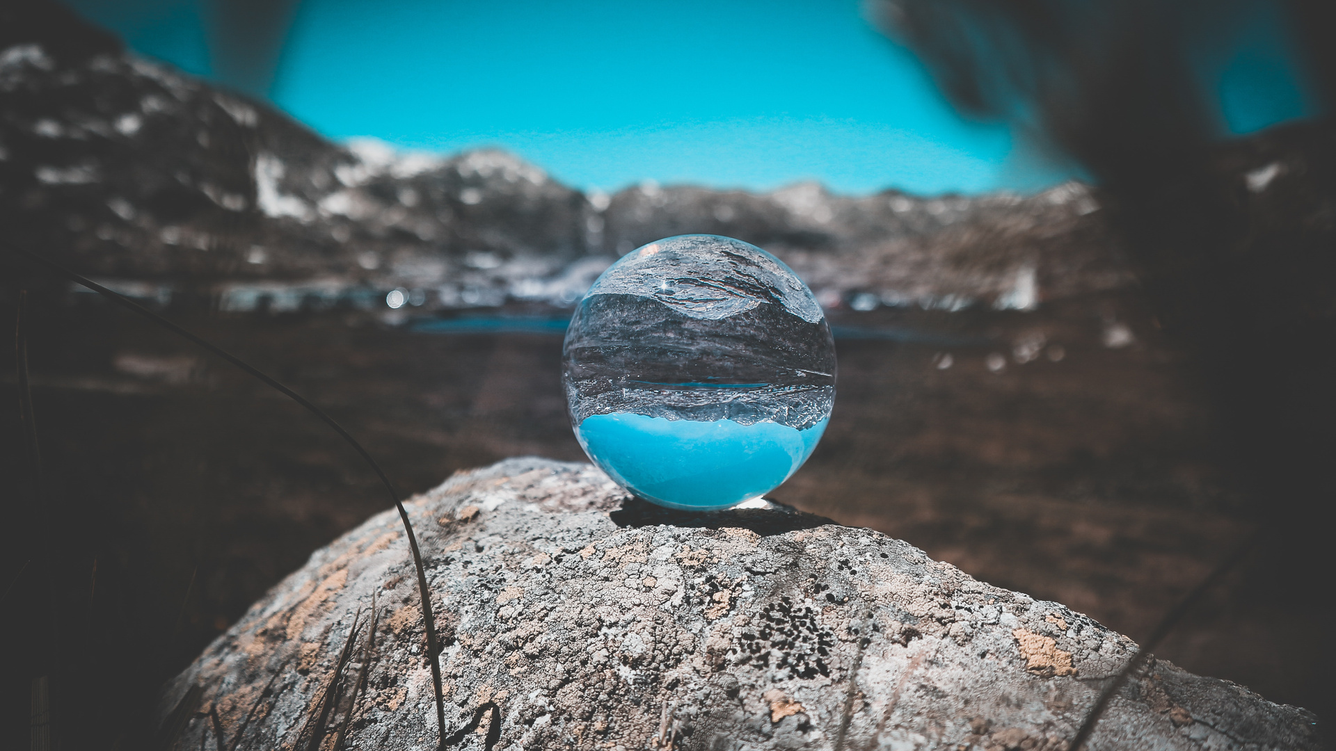 Crystal Bal Transparent Nature Background Reflection 5k
