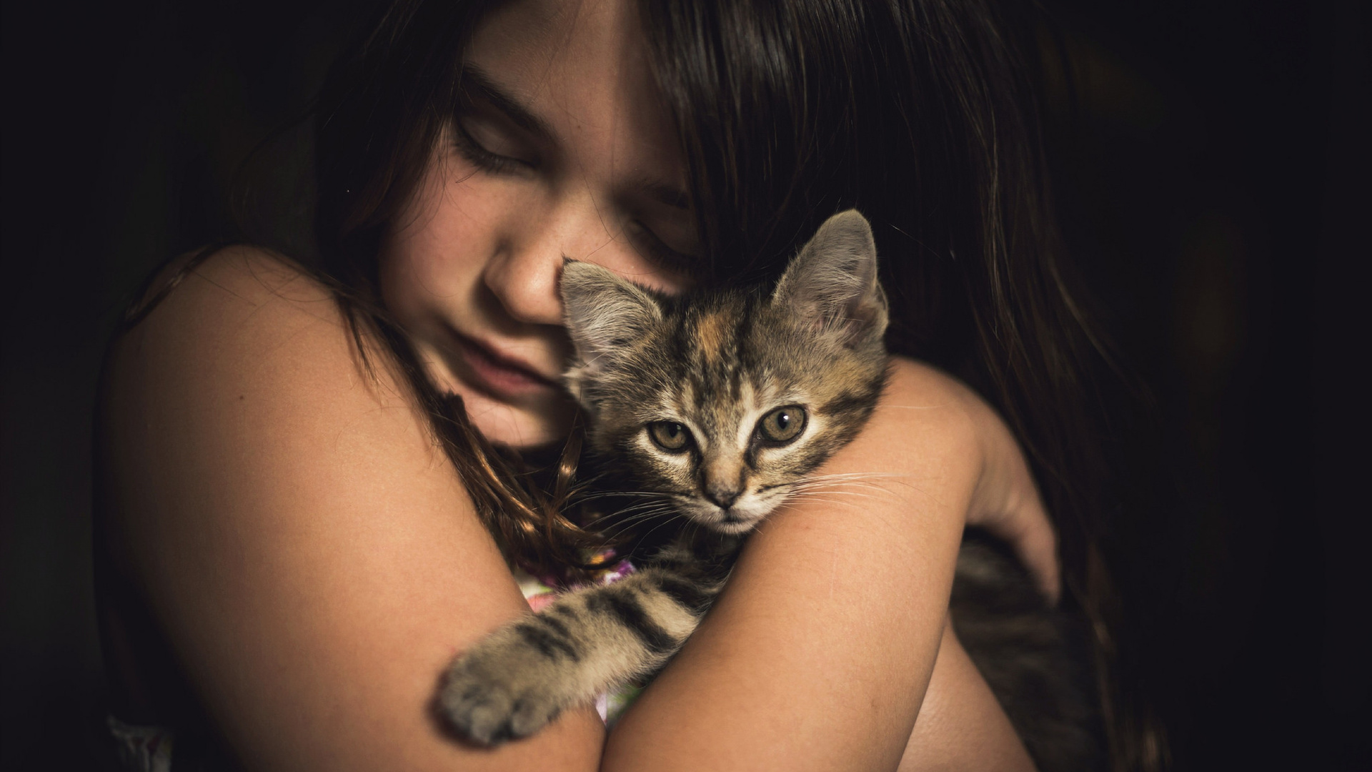 Cute Little Girl With Kitten