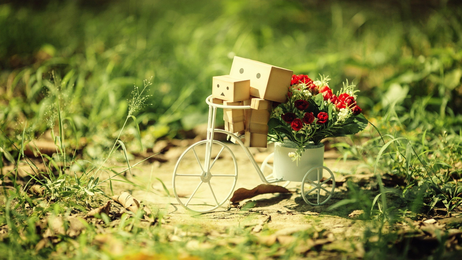 Danbo Best Pic
