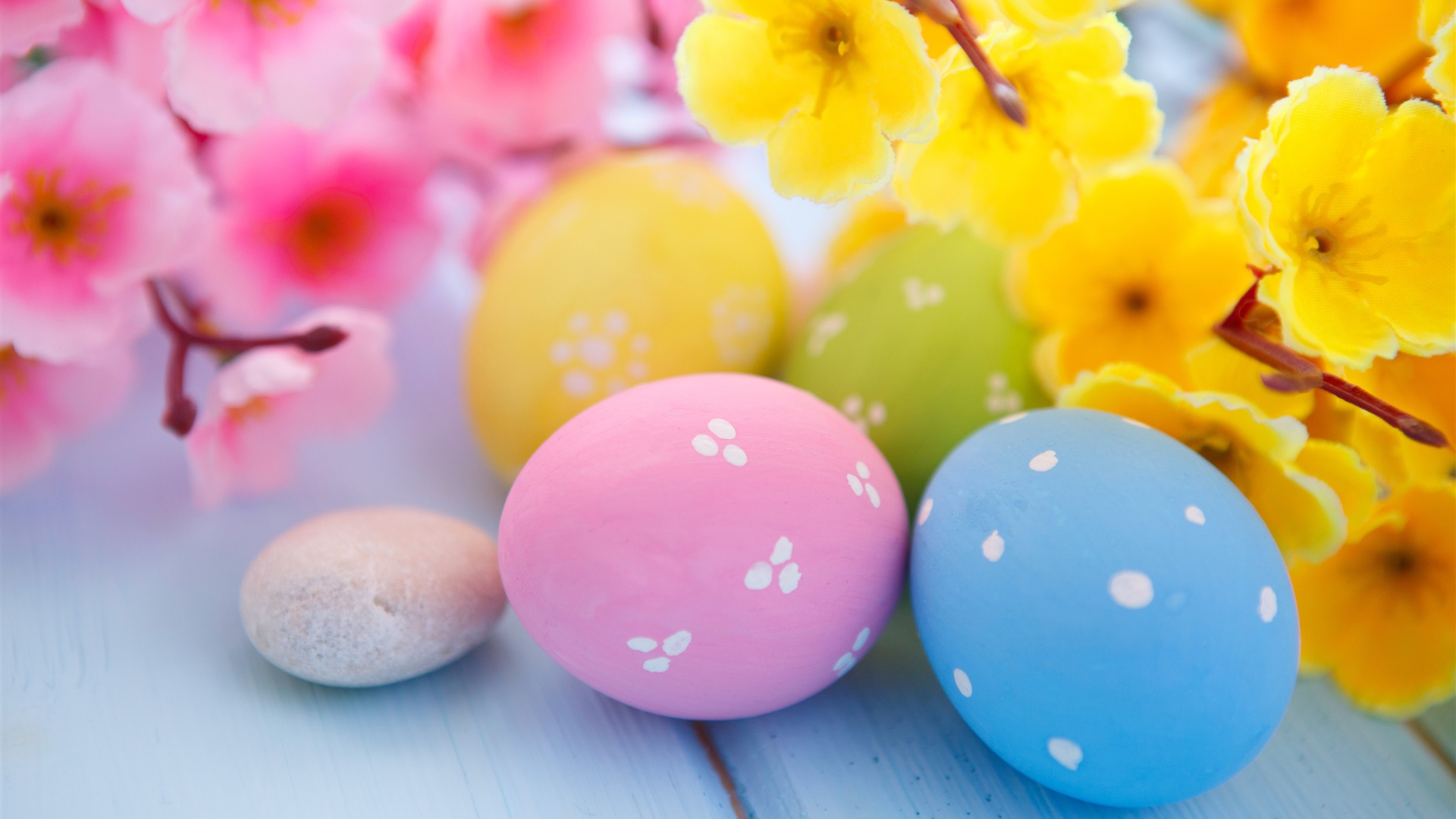 Easter Eggs and Spring Blossoms