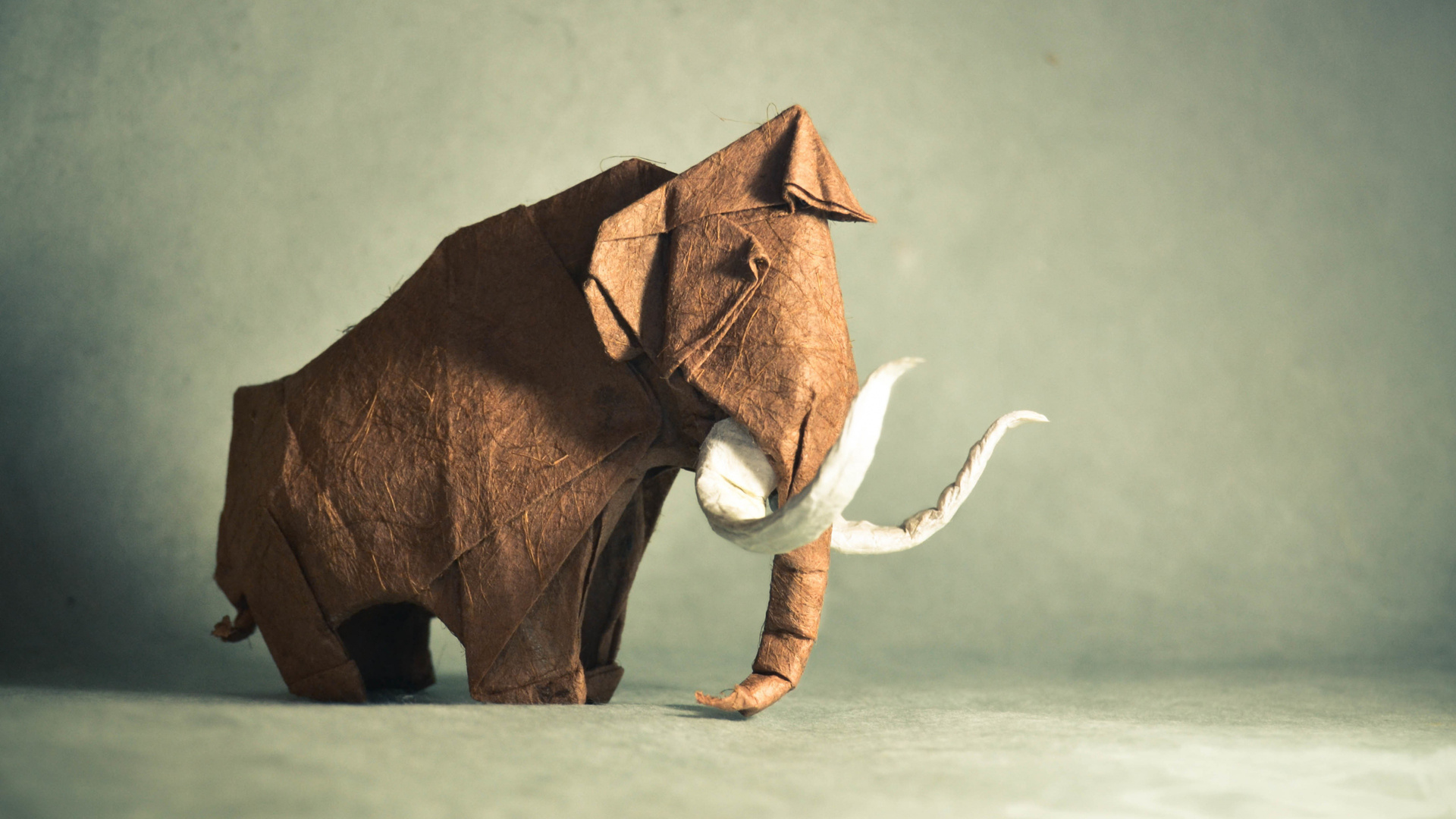 Elephant Man Art