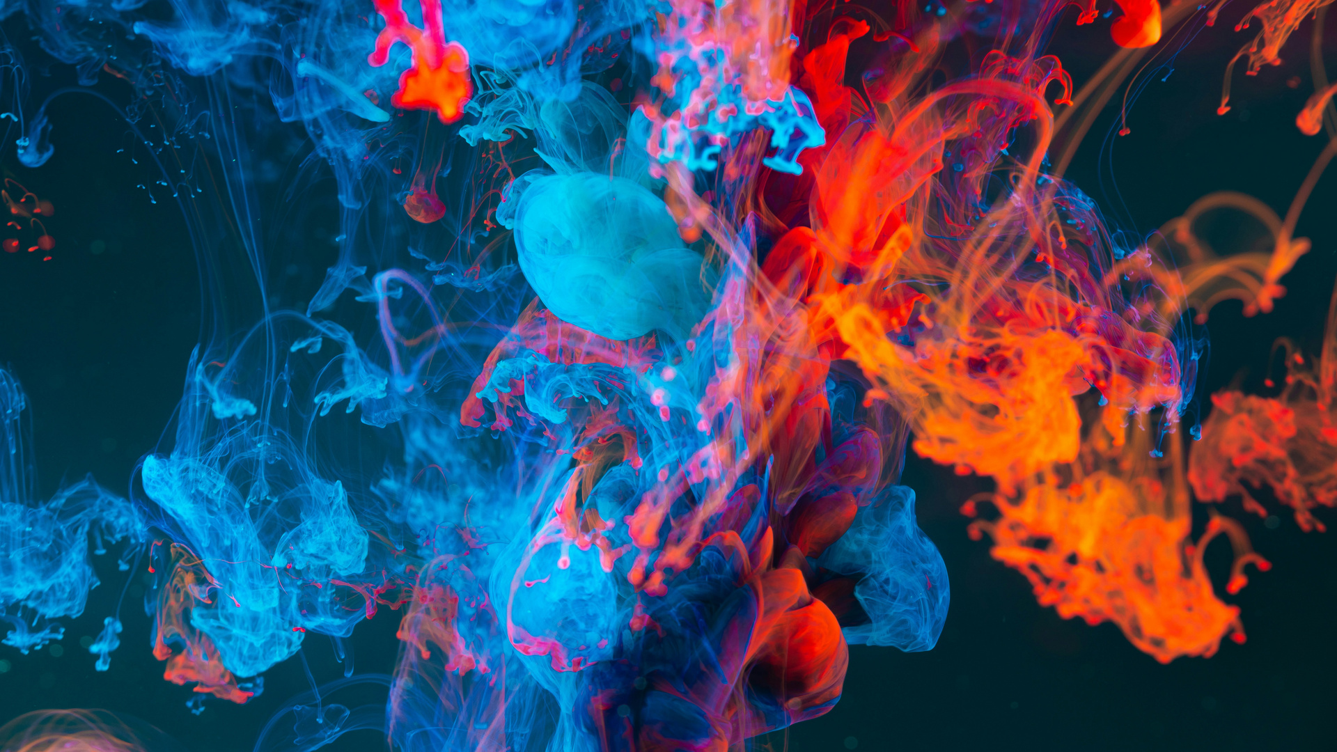 Fire Meets Ice Abstract