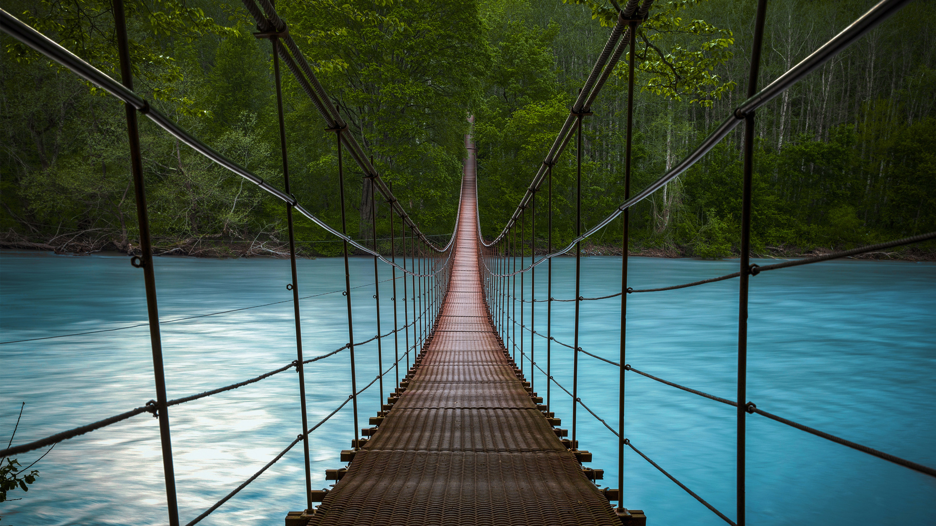 Forest River Bridge