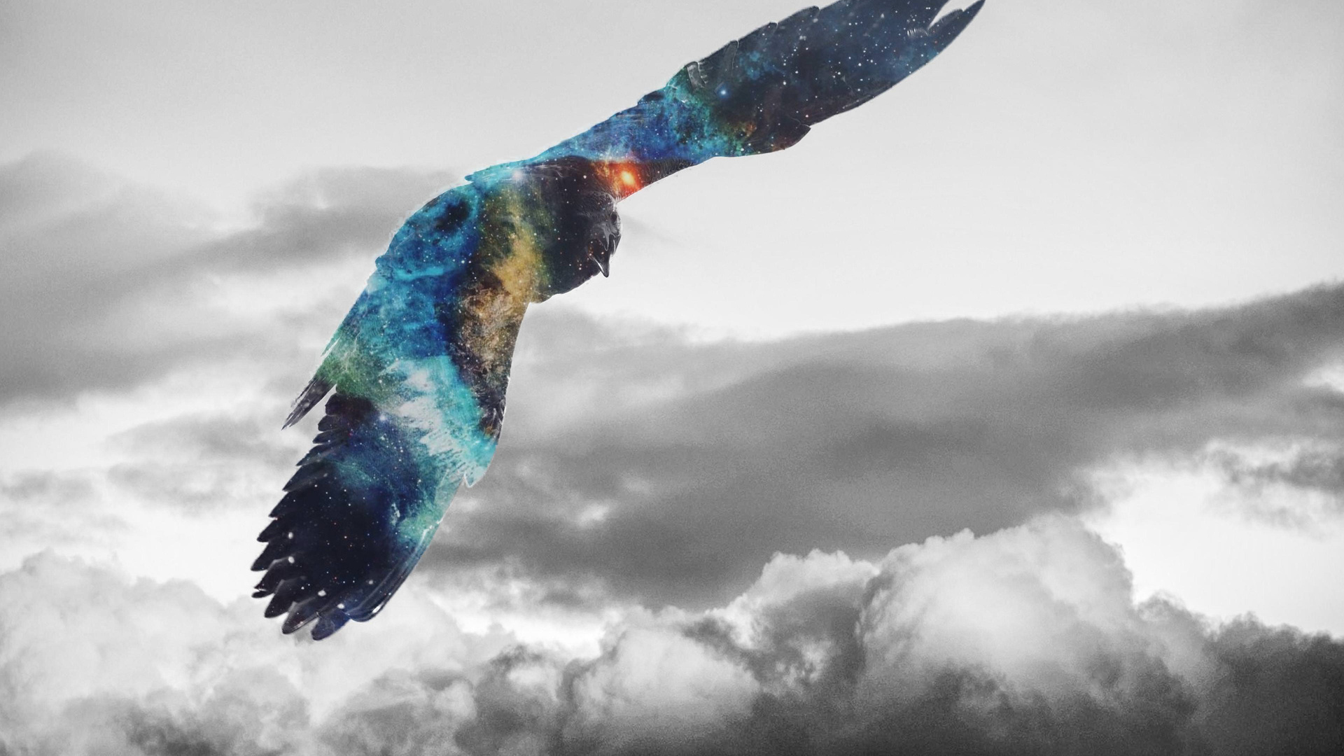 Golden Eagle Flying Galaxy Photoshop