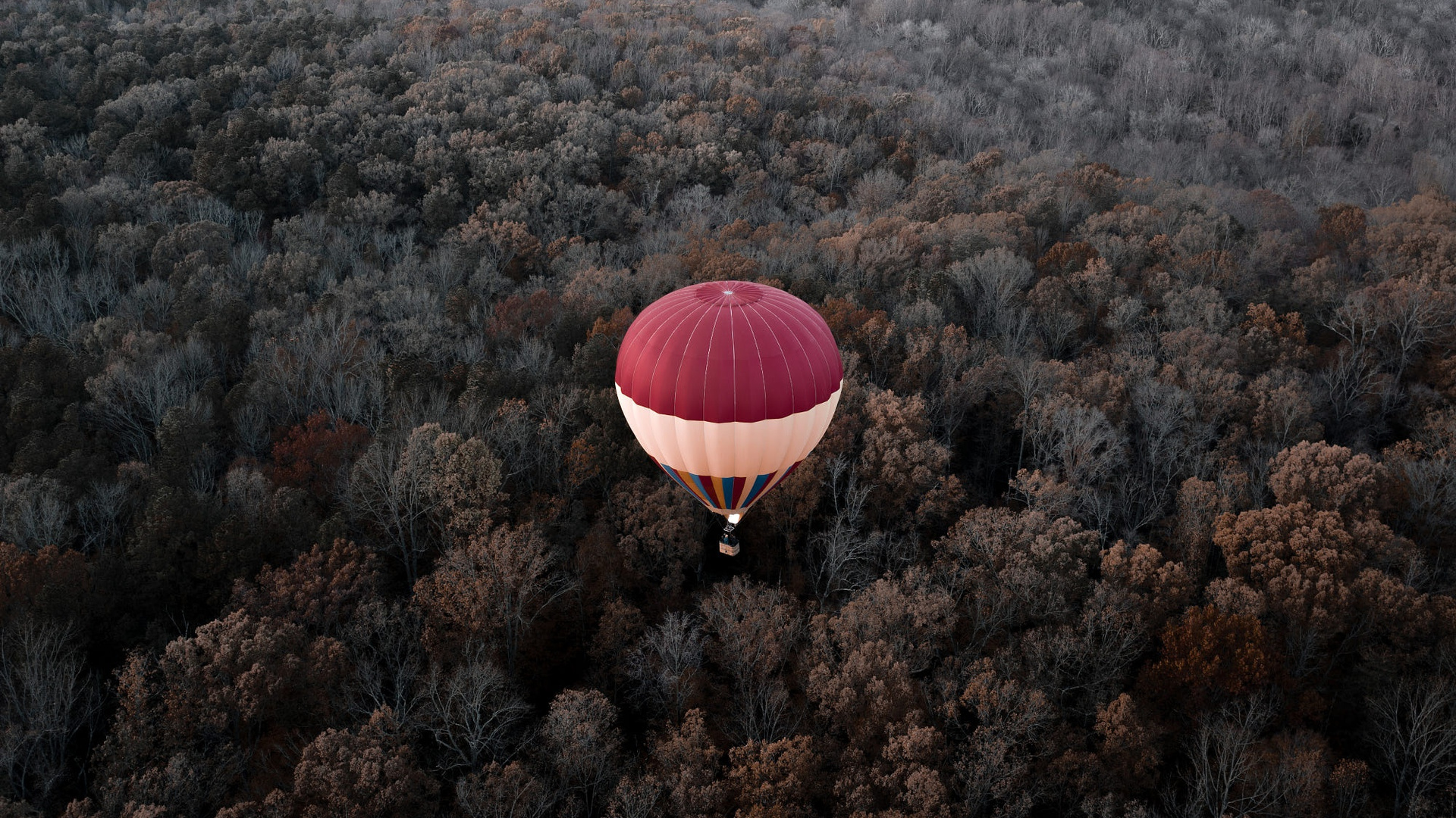 Hot Air Balloons Aerial View Forest