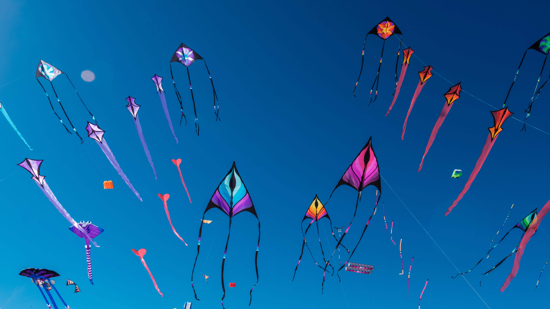 Kites In Air