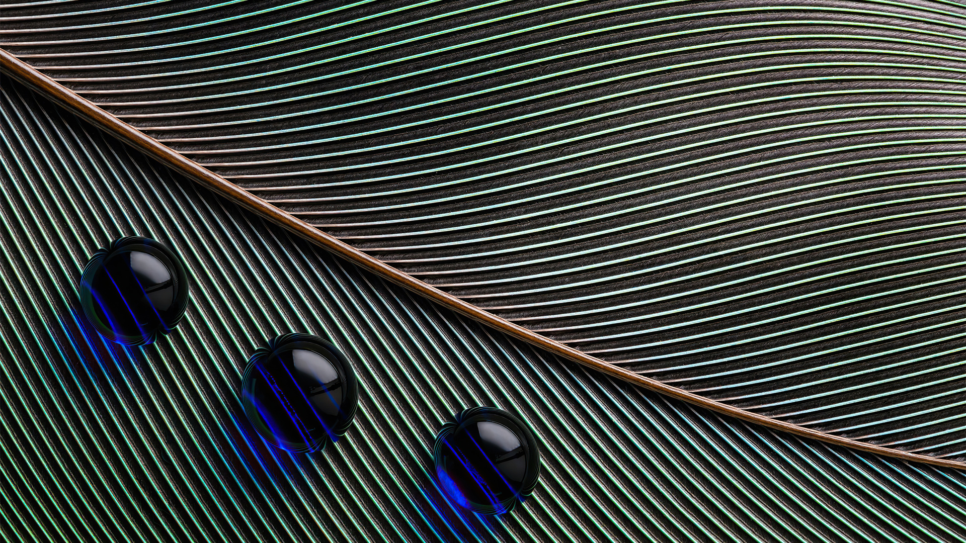 Leaves Macro Water Droplets 4k