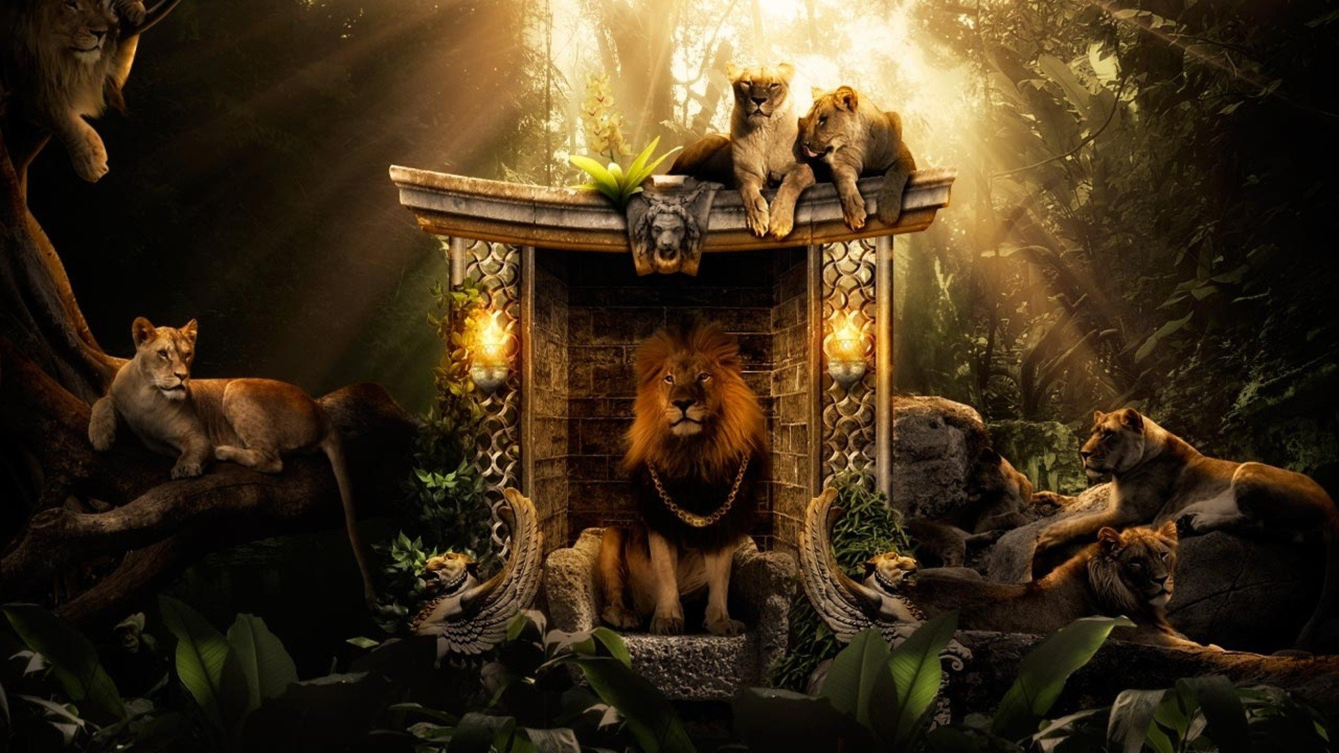 Lions Jungle