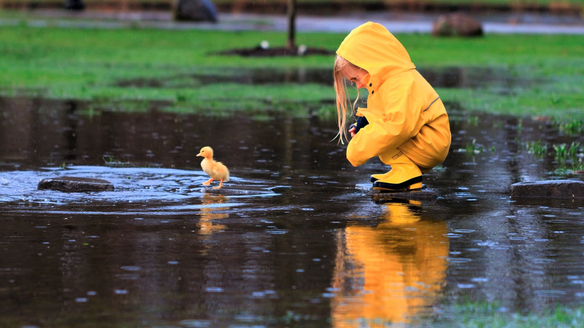Little Girl Playing With Duckling
