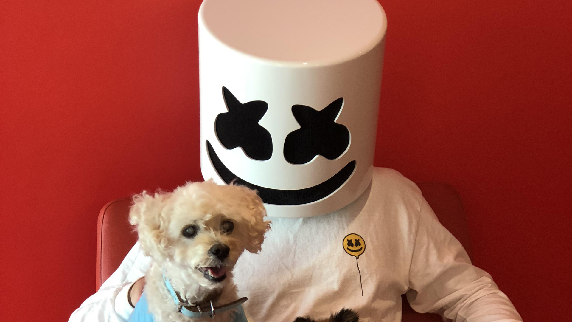 Marshmello With Dog