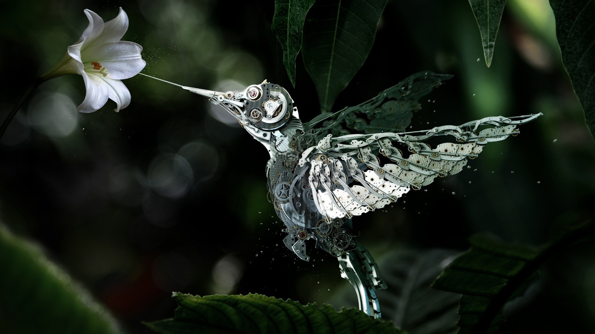 Mechanical Bird