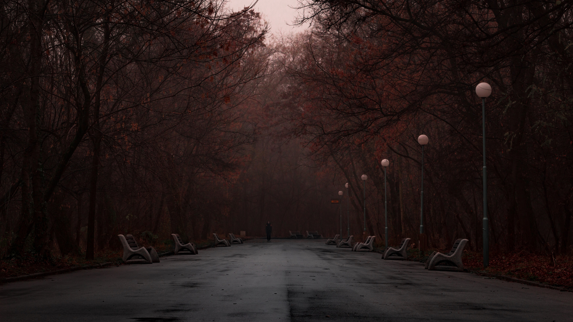 Park Fog Evening