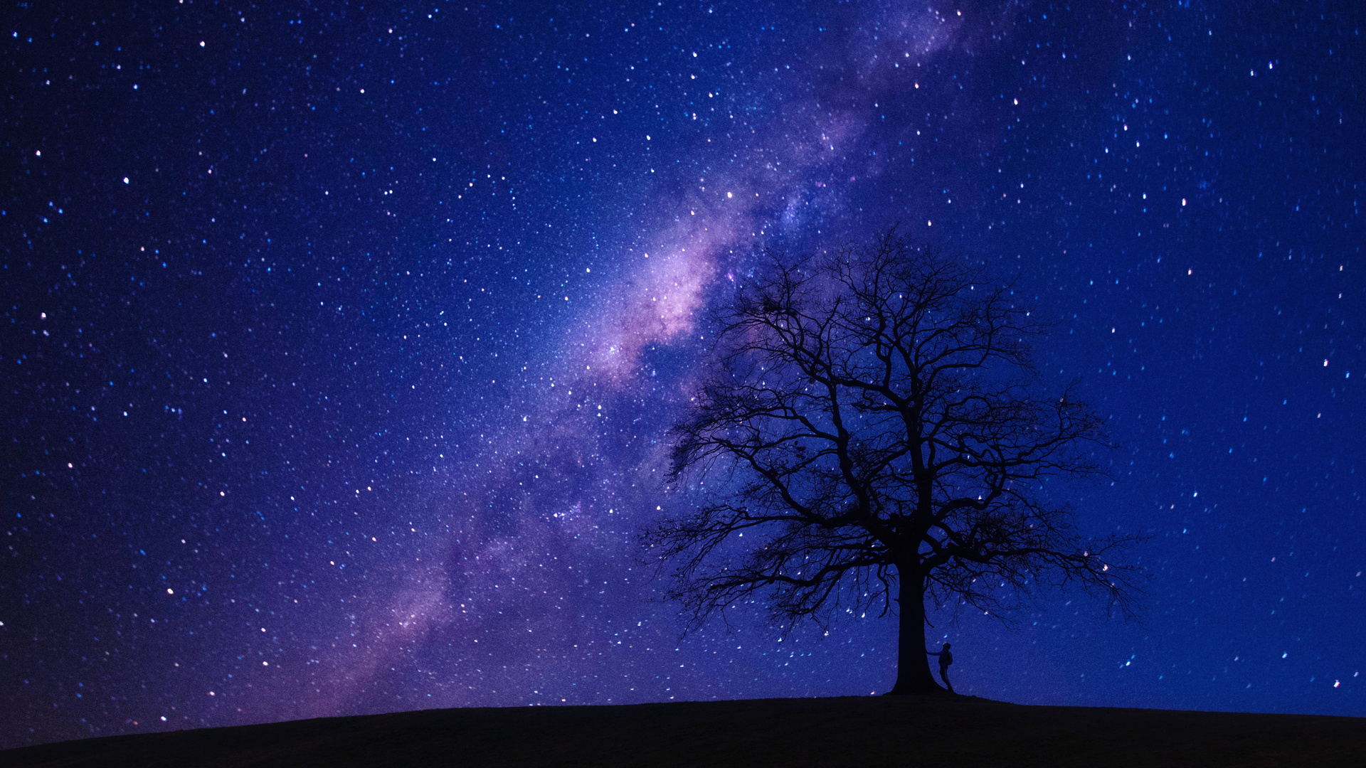 Person Beside Bare Tree