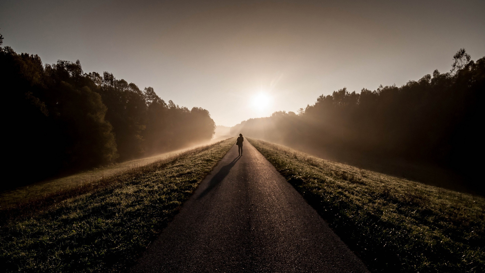 Person Standing Between Road
