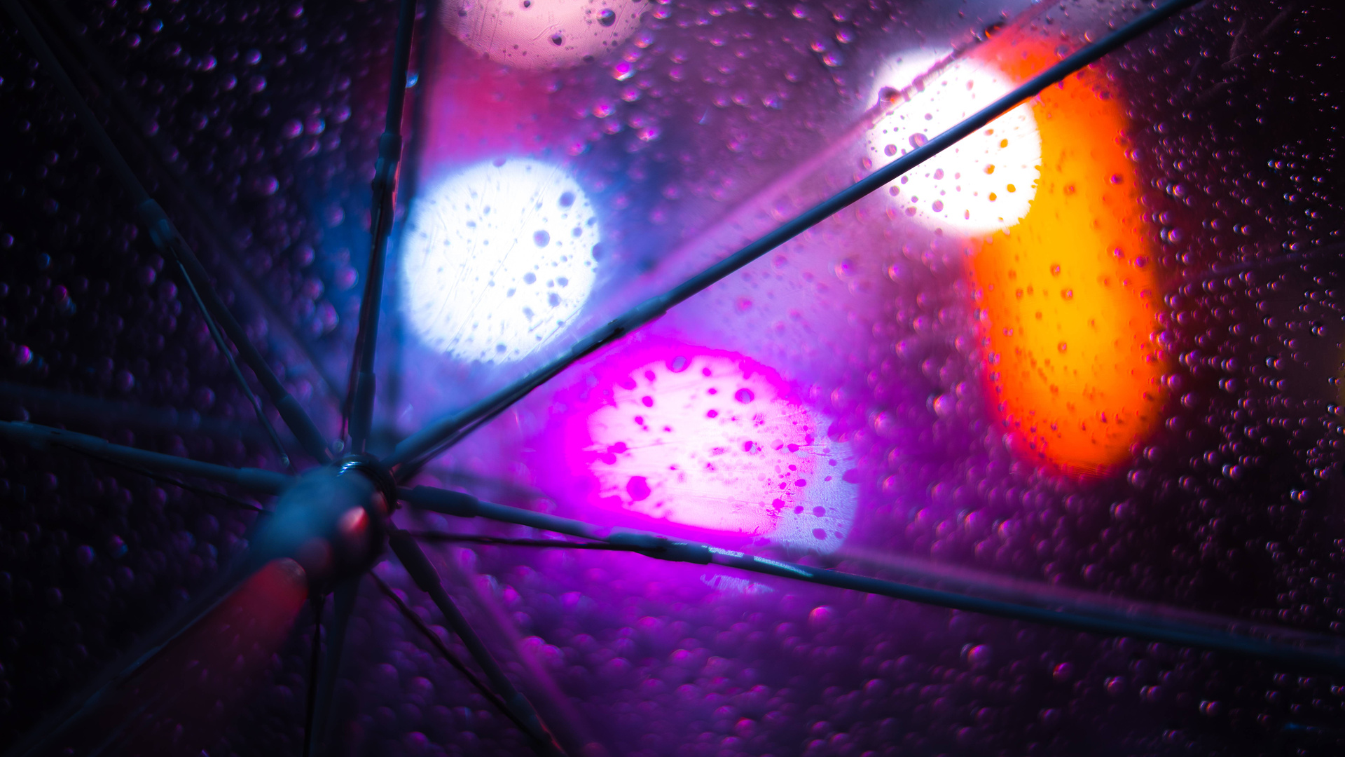 Rain Umbrella 8k