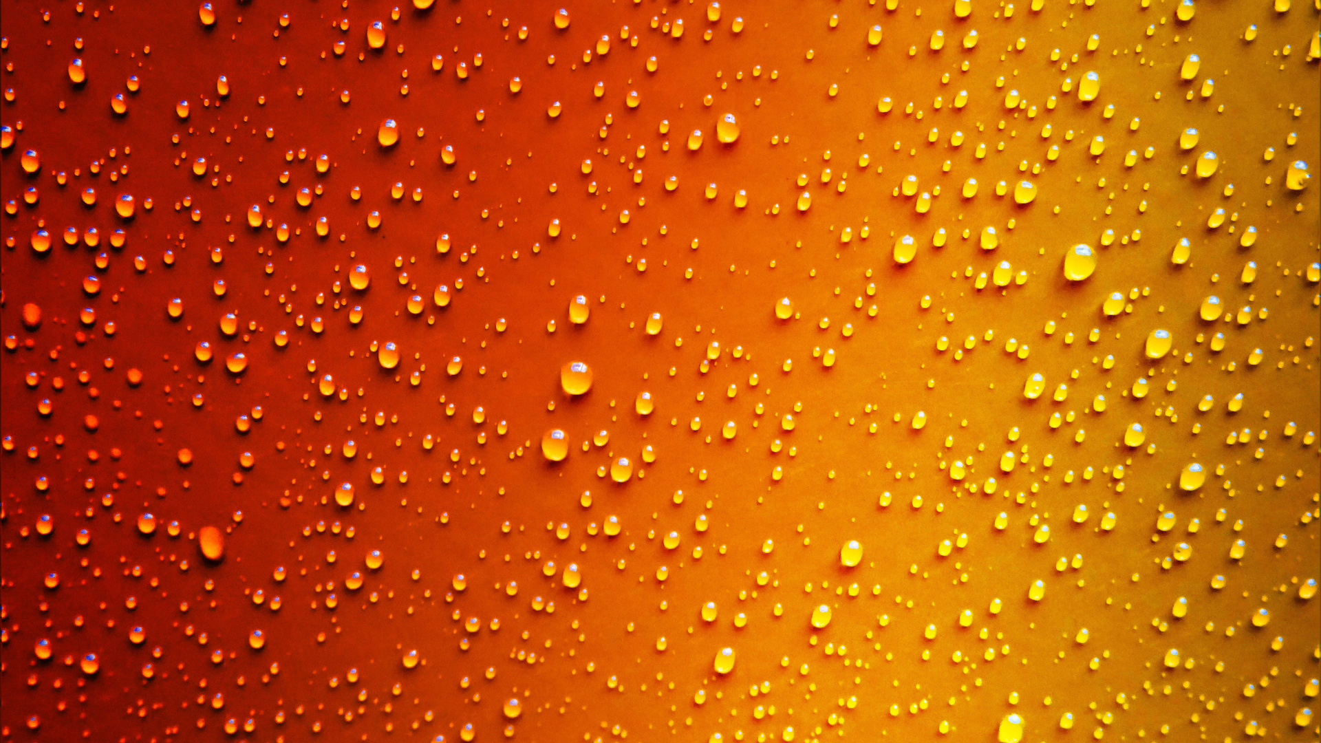 Red Yellow Dew Drop Wet 5k