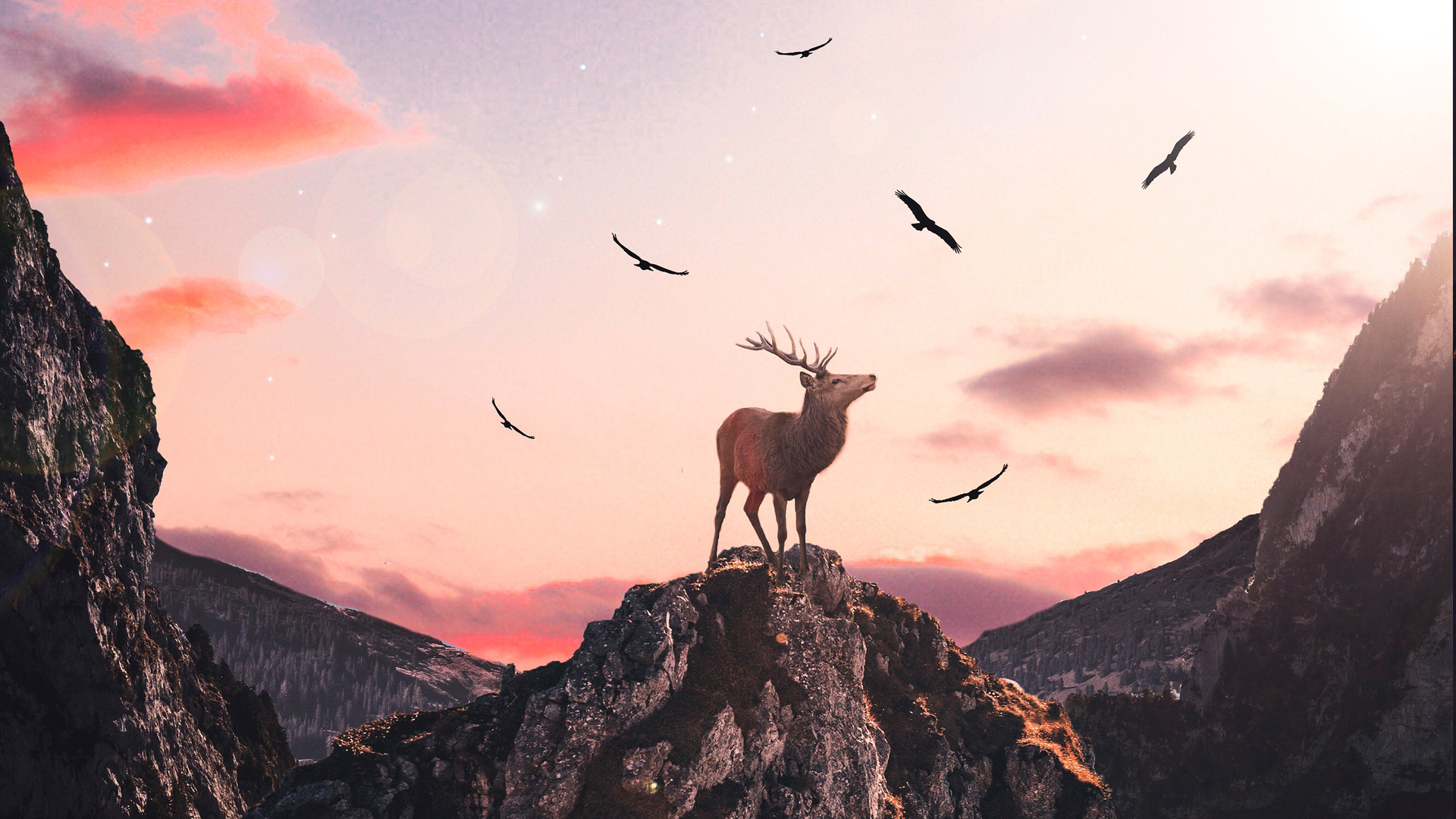 Reindeer Fantasy