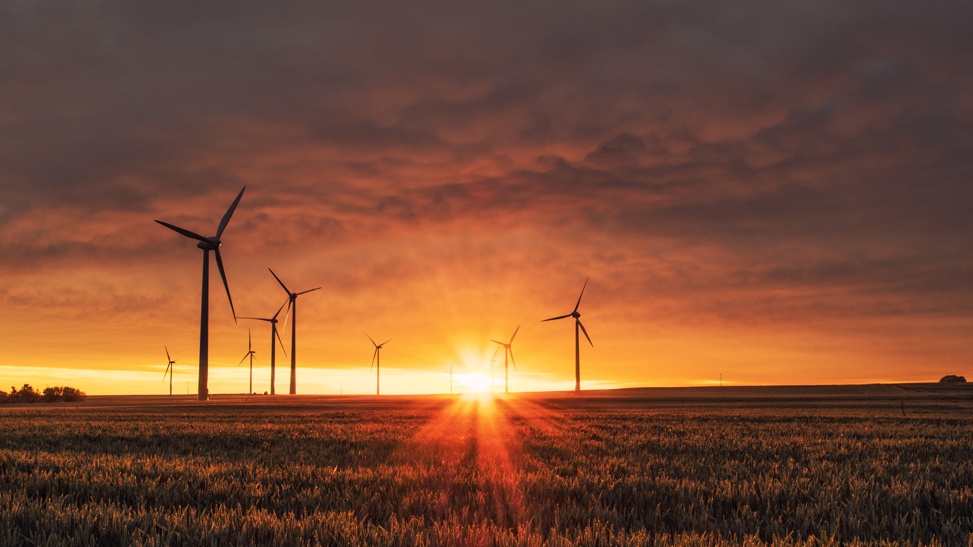 Wind Turbines Sunrise 5k