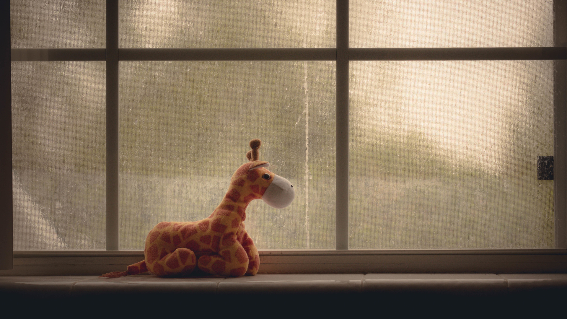 Window Ziraffe 4k