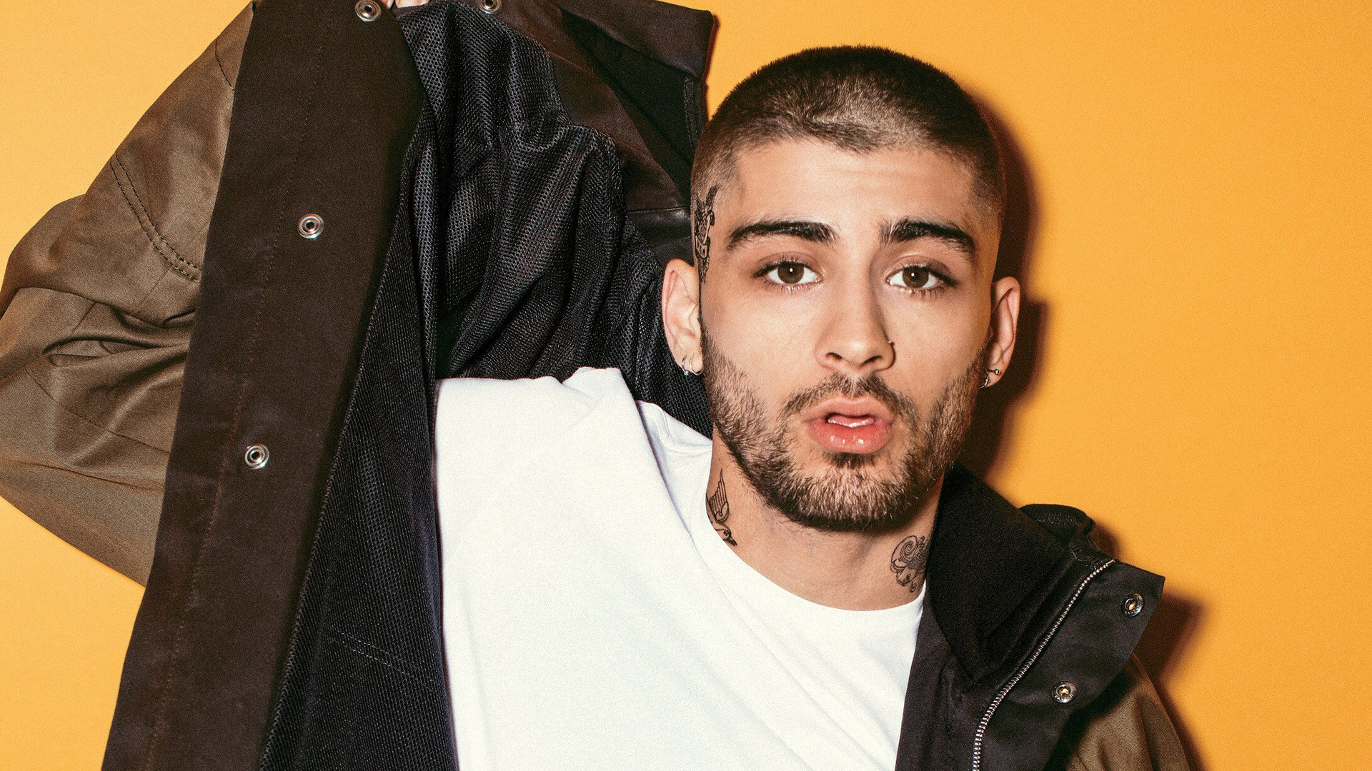 Zayn 2019