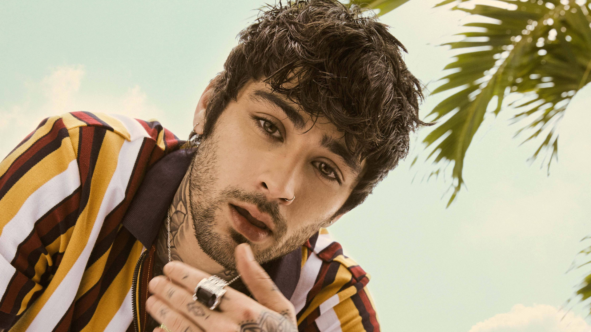 Zayn 2020 4k