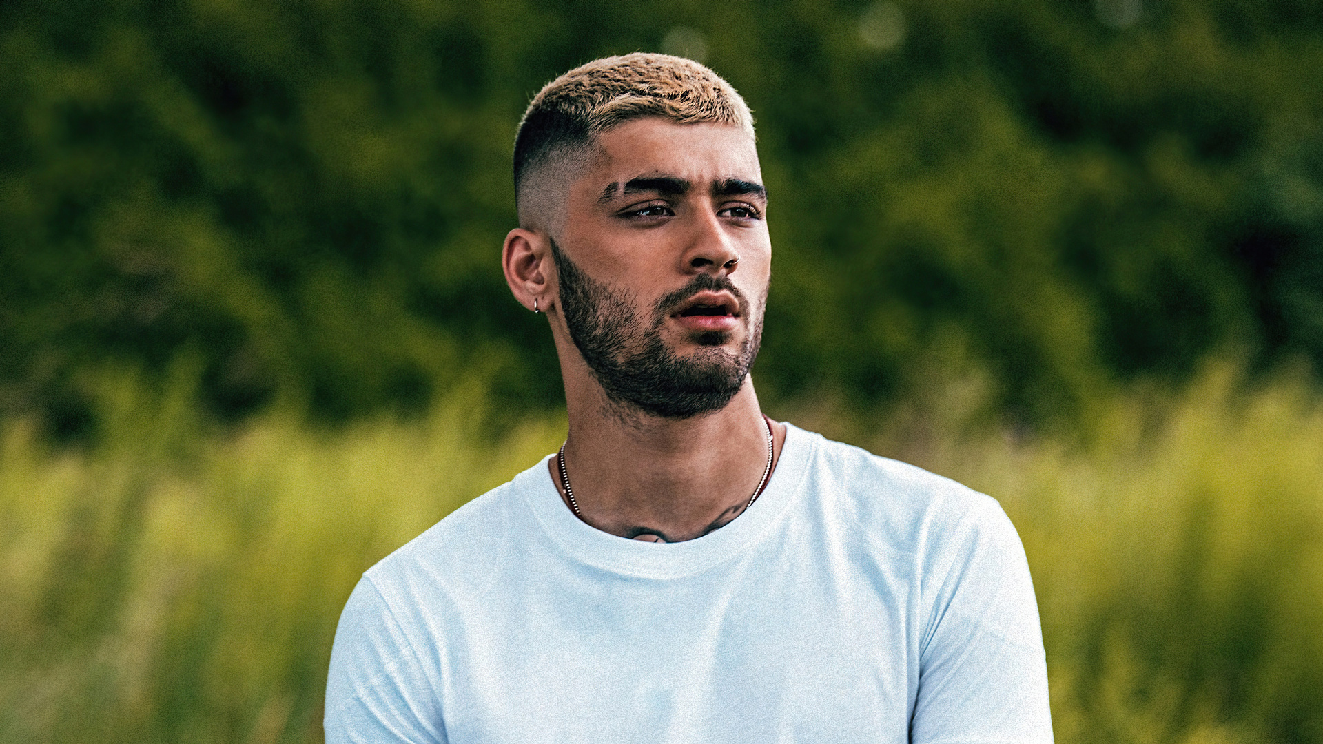 Zayn 2021
