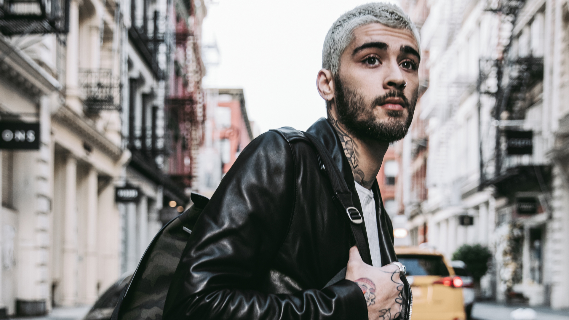 Zayn