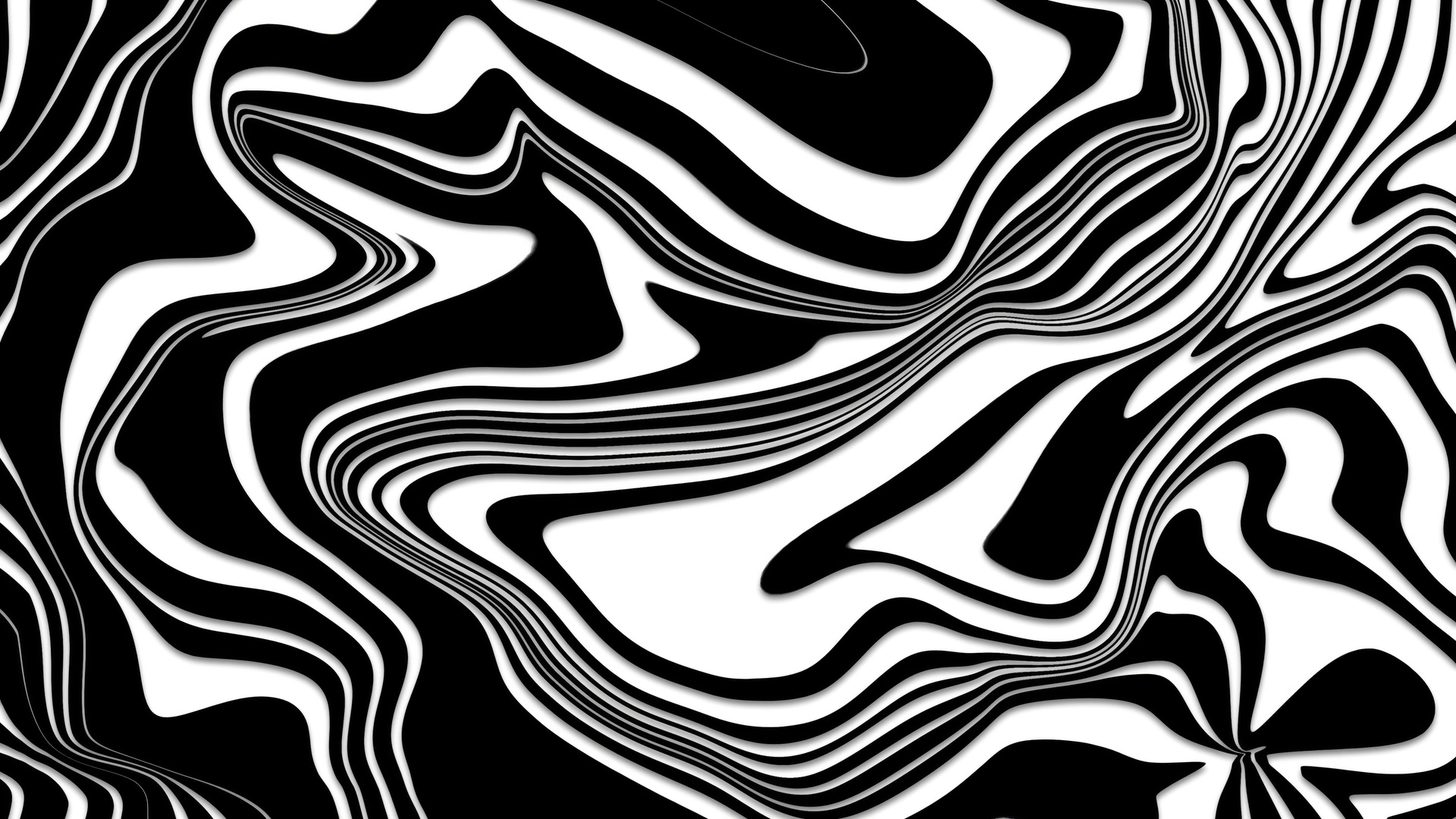 Zebra Abstract