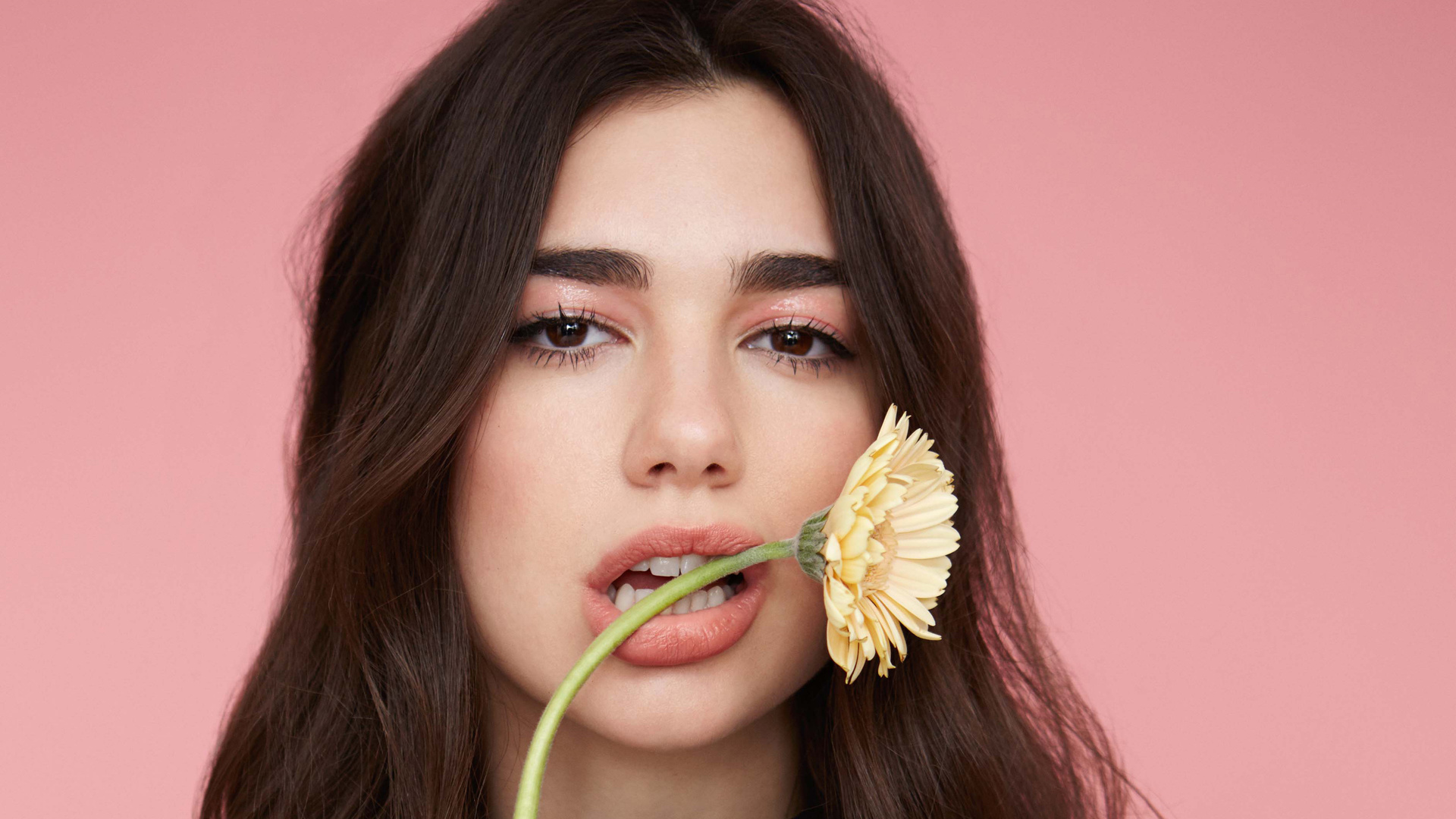 4k Dua Lipa 2018