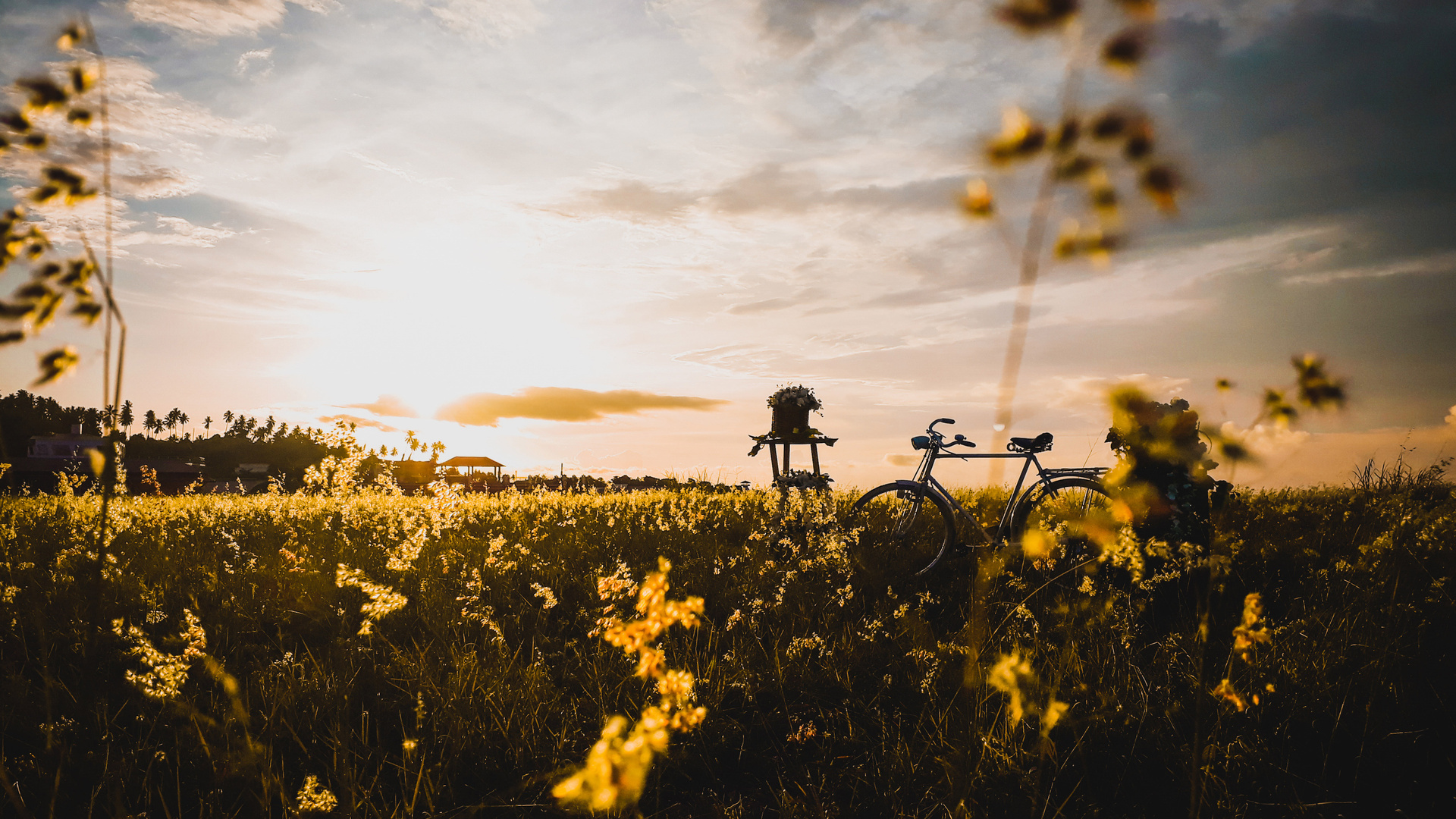 Bicycle In Field