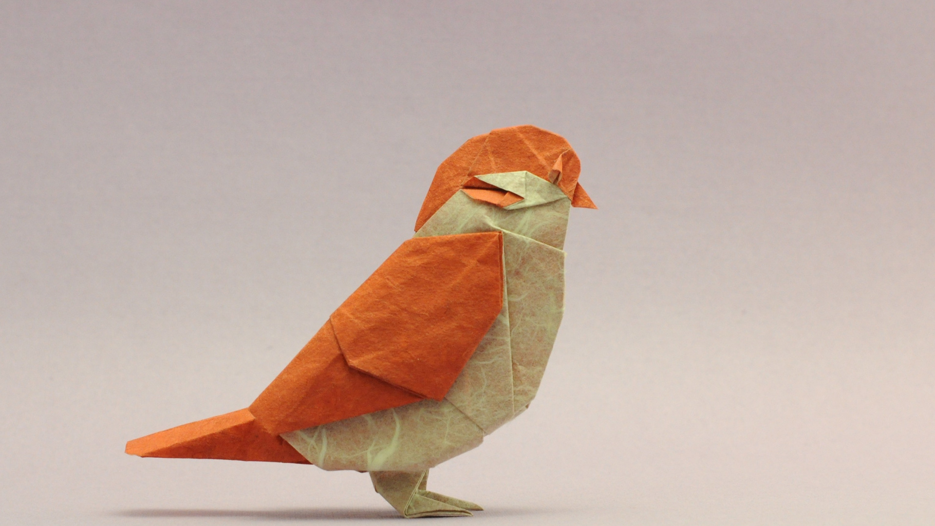 Bird Origami