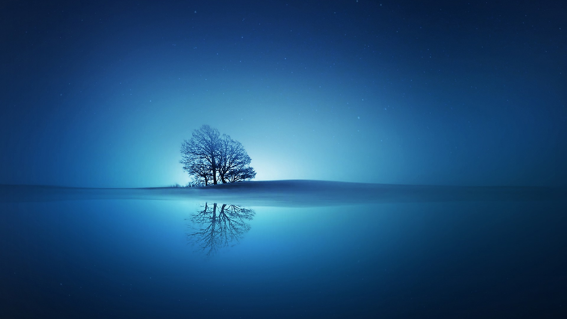 Blue Reflections