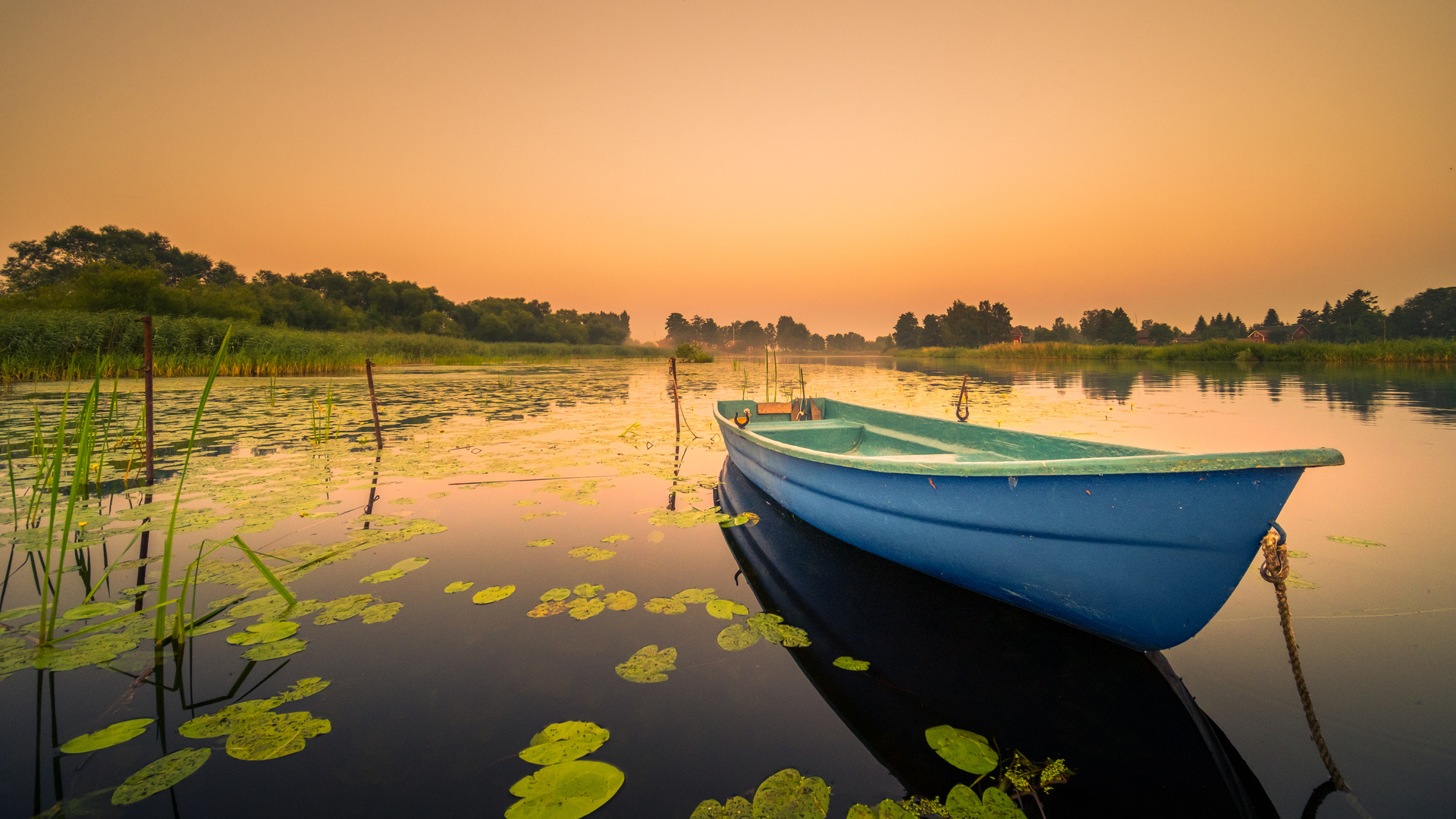 Boat Lily Water Lake