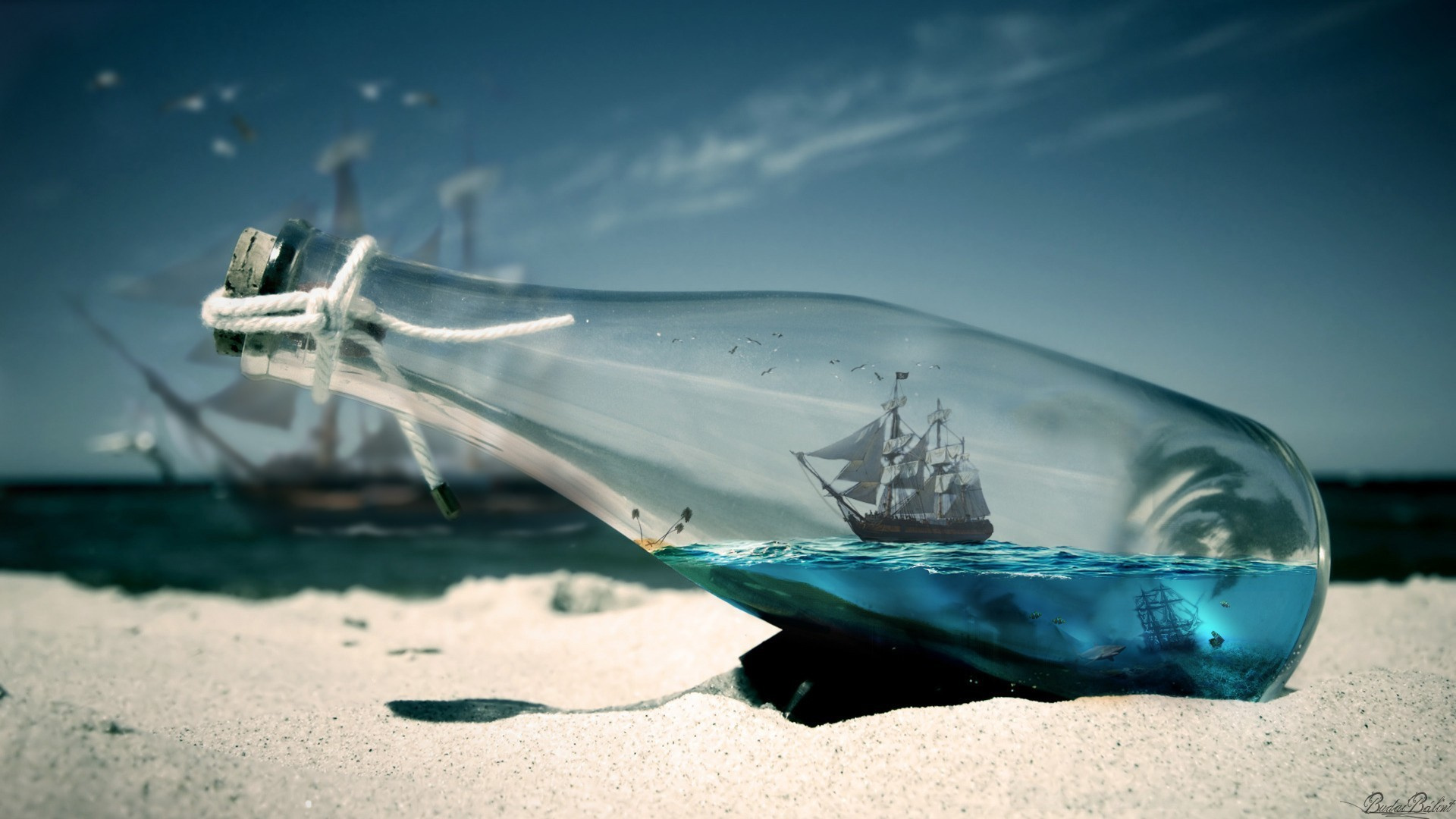 Bottle Beach Macrography