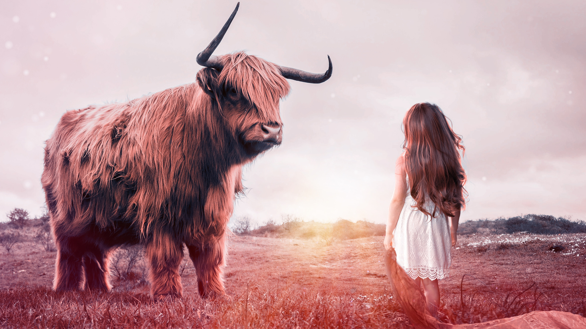 Child Bull Fantasy