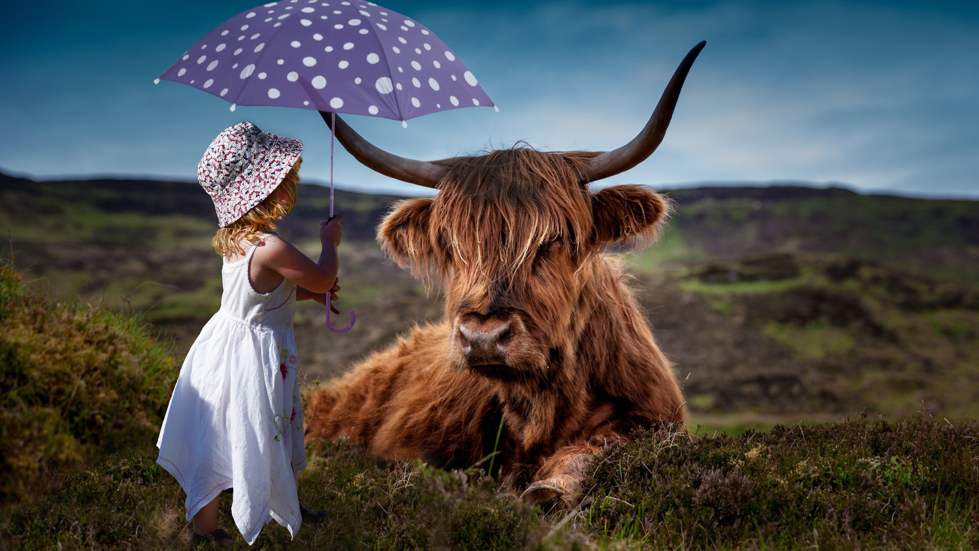 Child Cow Umbrella 5k