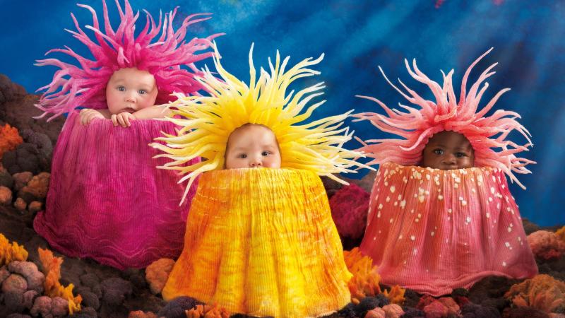 Babies Cute HD Wallpaper - Free 4K Download