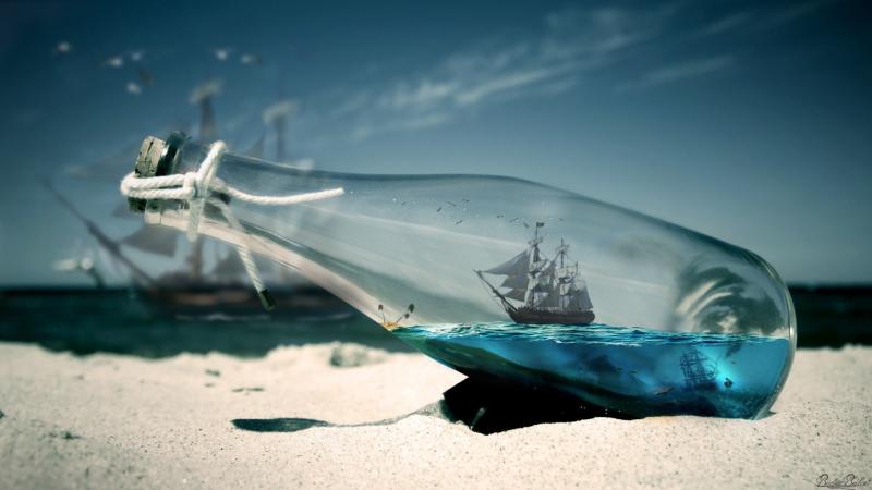 Bottle Beach Macrography