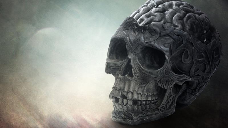 Brain Skull HD Wallpaper - Free 4K Download