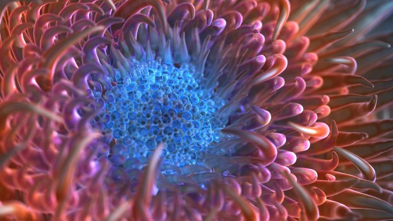 Digital Anemone Flower