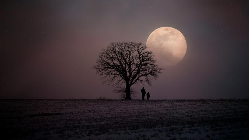 Father And Child HD Wallpaper - Free 4K Download