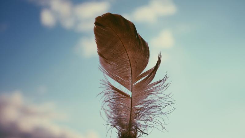 Feather Sky 4k