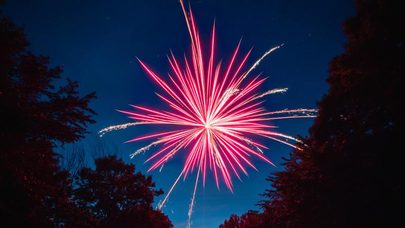 Firework Lake 4k