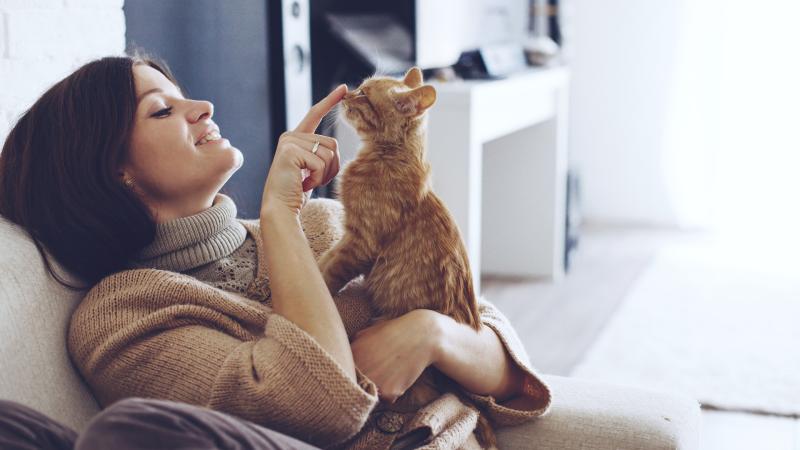 Girl Playing With Cat 4k HD Wallpaper - Free 4K Download