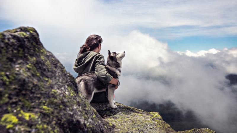 Girl With Siberian Husky