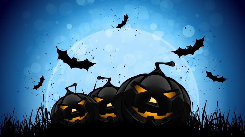 Halloween Bat 4k