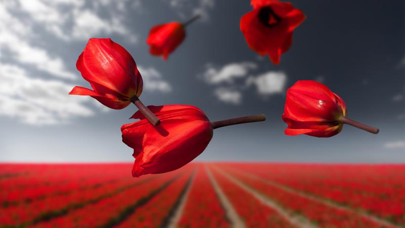 Lalibela Gravity Flowers 4k