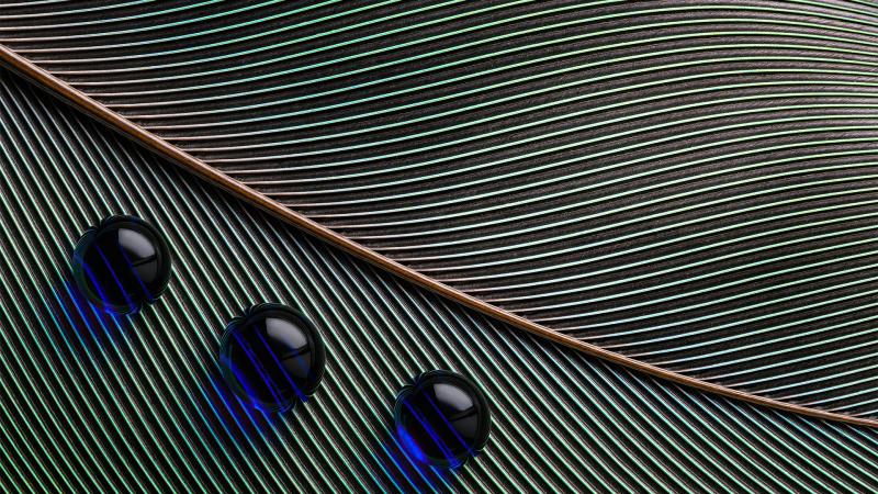 Leaves Macro Water Droplets 4k
