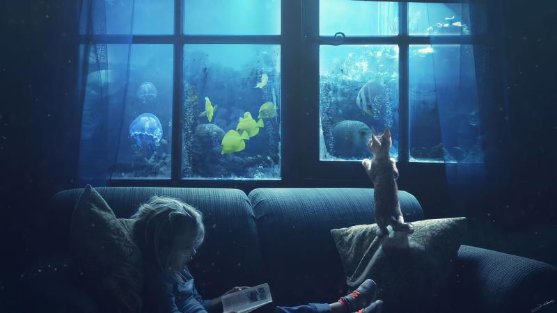 Little Girl Reading Book Cat Manipulation