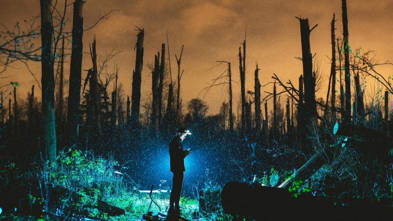 Man Standing Near Bare Trees Photo
